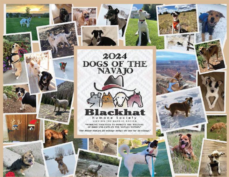 2024 Dogs of the Navajo Calendar Blackhat Humane Society